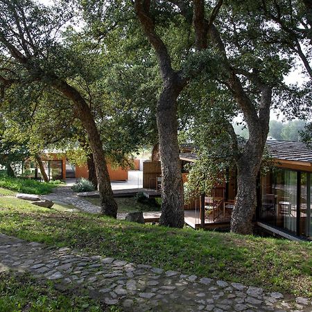 Wood Mood Lodges Cristelo  Extérieur photo